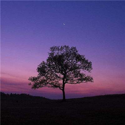 熊猫娱乐appapp下载