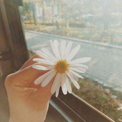 bat365app手机版下载