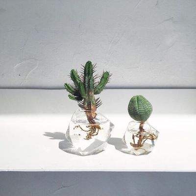 AG九游会app下载