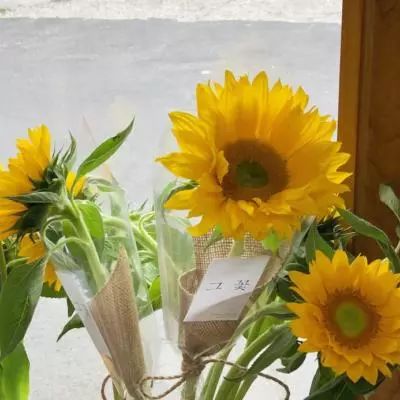 开开棋牌下载手机版